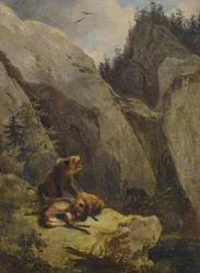Bären zerlegen einen Hirsch